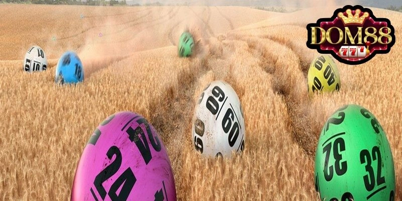 Hướng dẫn trải nghiệm xổ số tại DOM88 