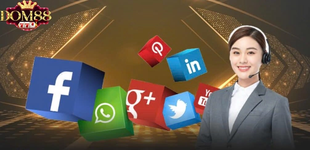 Sự hỗ trợ tận tâm và chuyển nghiệp của Dom88